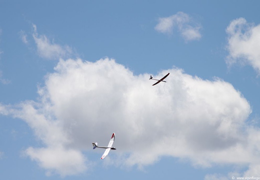 FlyingCircus2016-093 (1569 visits) FlyingCircus2016-093