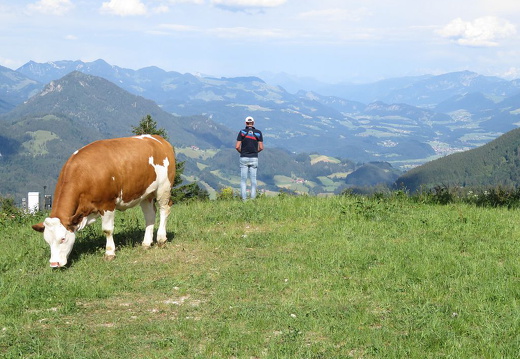 Sudelfeld-Vogelsang2019-013