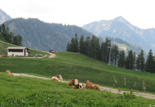 Sudelfeld-Vogelsang2019-016