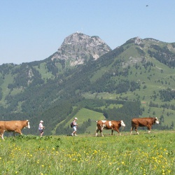 Sudelfeld 