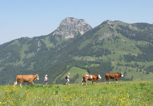 Sudelfeld-Vogelsang2014-067