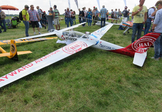 Segelflugmesse-2016-021 (1655 visits) Segelflugmesse-2016-021