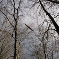 Breitbrunn-023