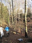 Breitbrunn-025