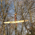 Breitbrunn-026