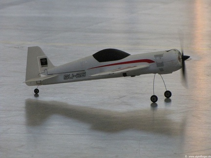 Hallenfliegen-2009-002