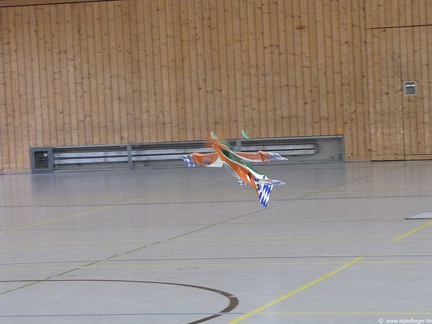 Hallenfliegen-2009-043