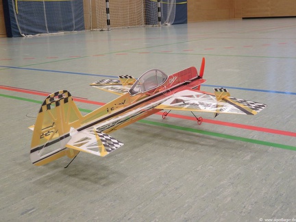 Hallenfliegen-Alling-002