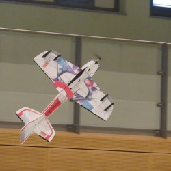 Hallenfliegen