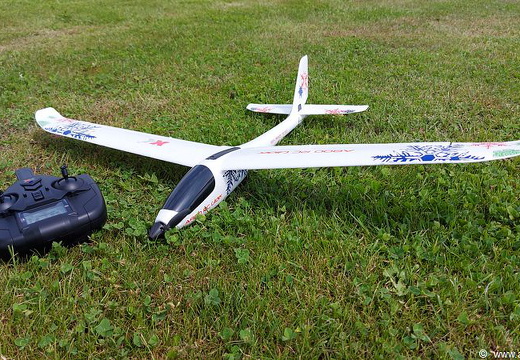 A800 (1000 visits) A800
