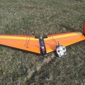 Albatros XXL -Küstenfliege 2