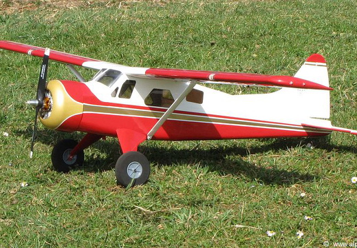 Beaver-e-Flite-25e-104