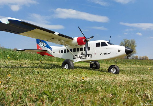 Bush Mule - Hobbyking 2 (909 visits) Bush Mule - Hobbyking 2