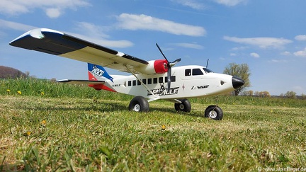 Bush Mule - Hobbyking 2