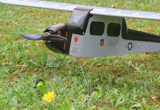 Butterfly Electric - 54 (816 visits) Butterfly Electric - 54