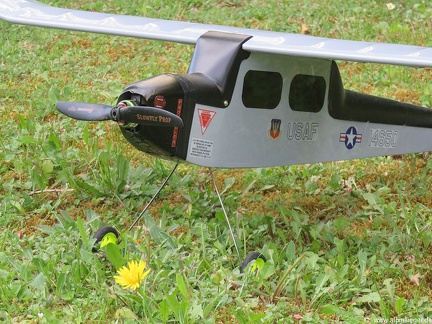 Butterfly Electric - 54