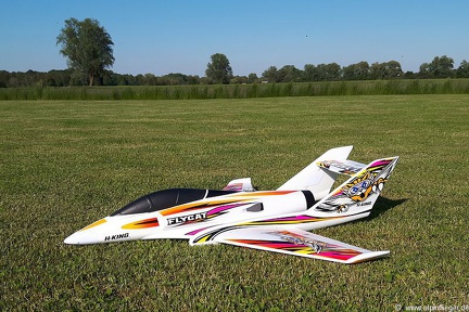 FlyCat - HK - 01