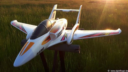 FlyCat - HK - 07