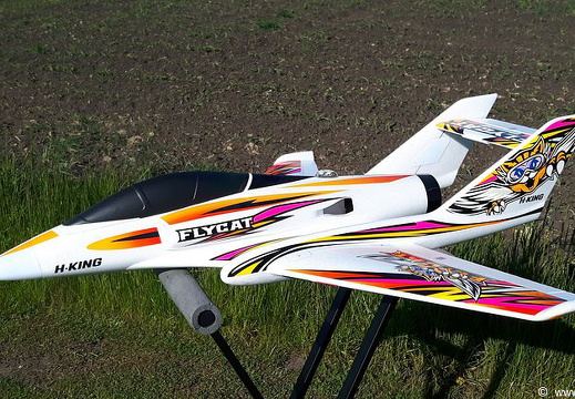 FlyCat - HK - 08 (1888 visits) FlyCat - HK - 08