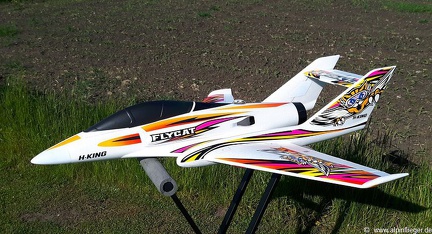 FlyCat - HK - 08