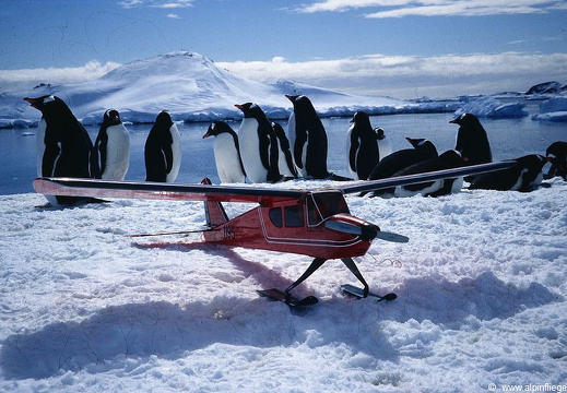 RC-Flug-Antarktis-Bingo-011