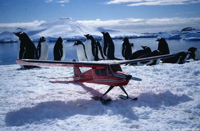RC-Flug-Antarktis-Bingo-011.jpg