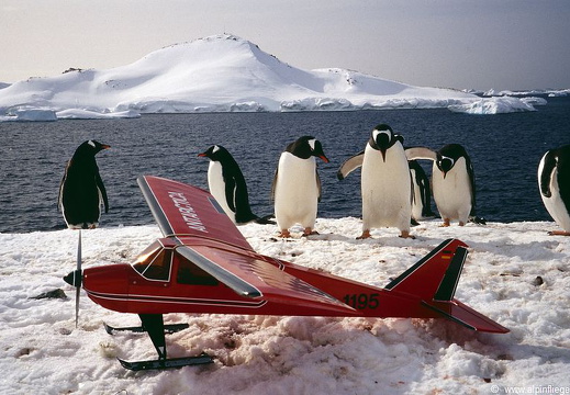 RC-Flug-Antarktis-Bingo-025