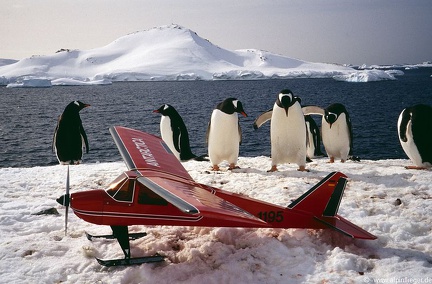 RC-Flug-Antarktis-Bingo-025