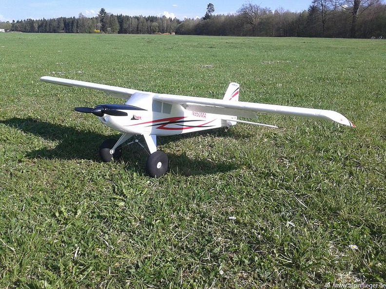 Timber-eFlite-1.jpg