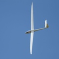 2022-06-FlyingCircus_054.JPG