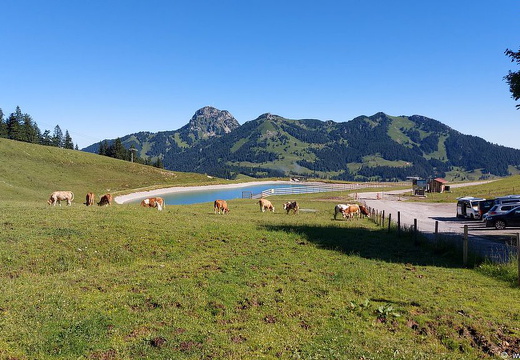 Hangflugtage Sudelfeld Walleralm 2022-09 (2733 visits) Hangflugtage Sudelfeld Walleralm 2022-09