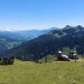Hangflugtage Sudelfeld Walleralm 2022-31