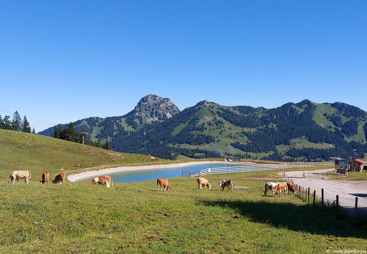 Hangflugtage Sudelfeld Walleralm 2022-41