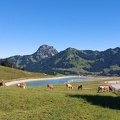 Hangflugtage Sudelfeld Walleralm 2022-41