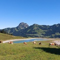 Hangflugtage_Sudelfeld_Walleralm_2022-41.jpg