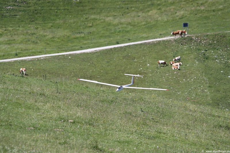 Hangflugtage Sudelfeld Walleralm 2022-29 (1383 visits) Hangflugtage Sudelfeld Walleralm 2022-29