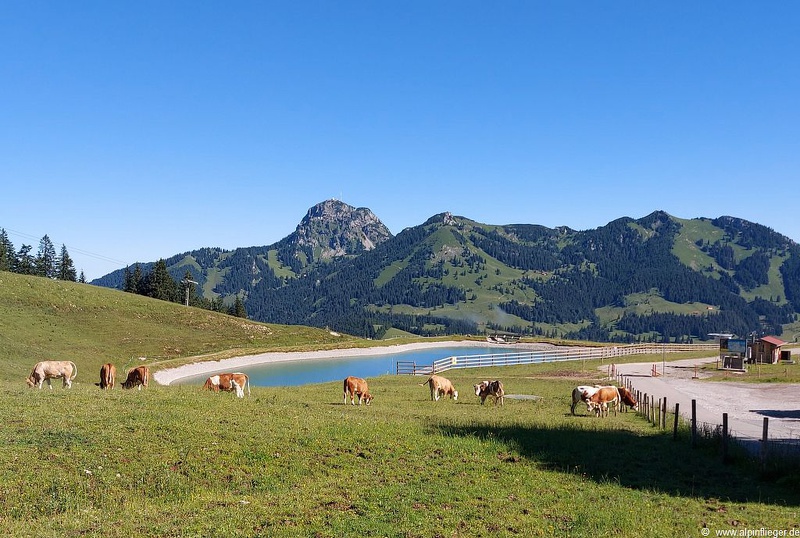 Hangflugtage Sudelfeld Walleralm 2022-41